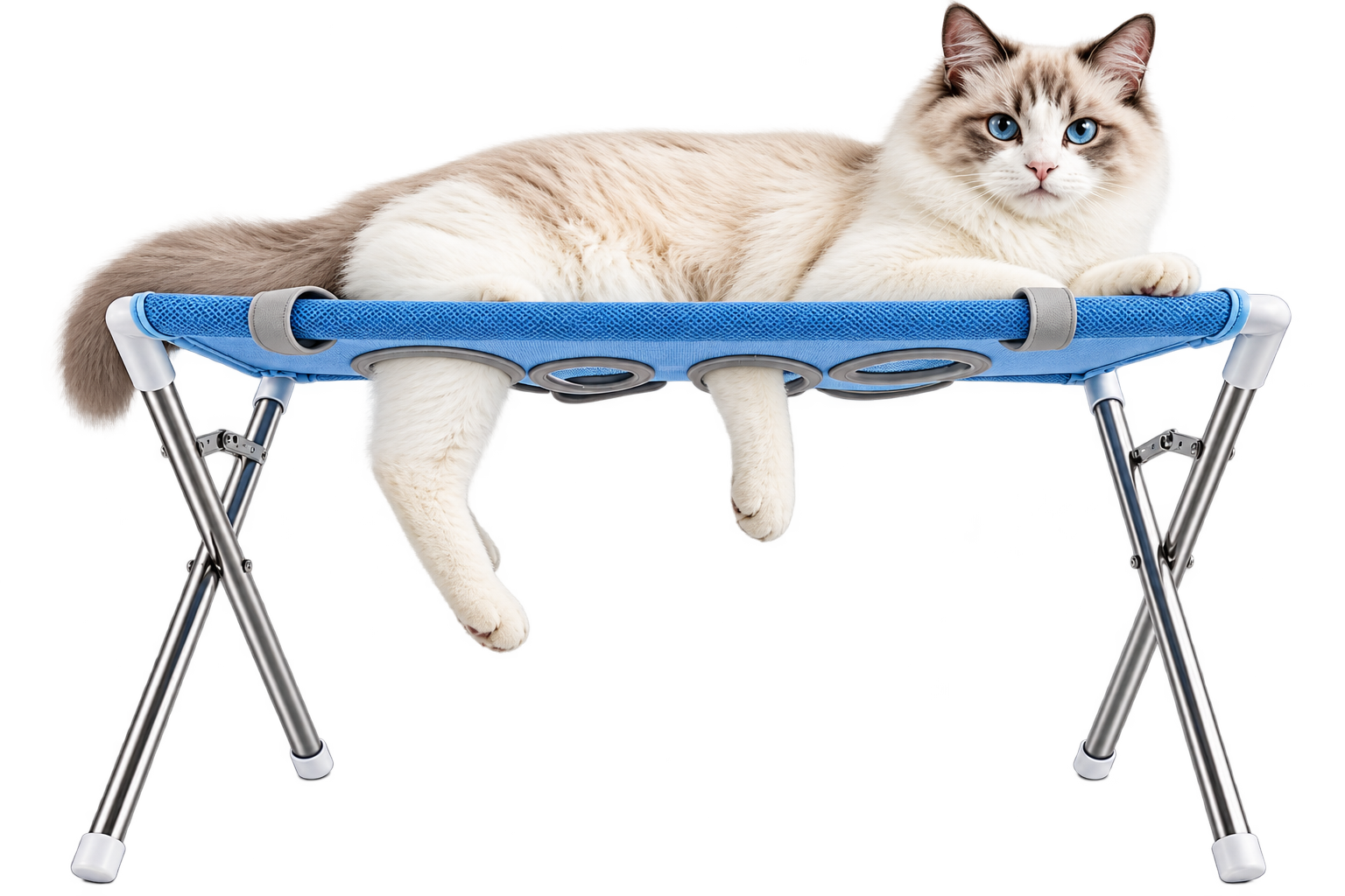 Kot rasy Ragdoll odpoczywający w hamaku groomingowym